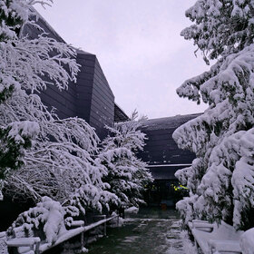 2455146_280x280_crop_478b24840a