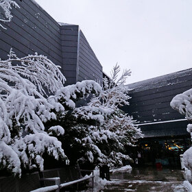 2455148_280x280_crop_478b24840a