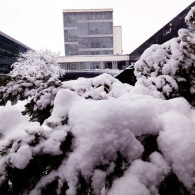 2455159_280x280_crop_478b24840a