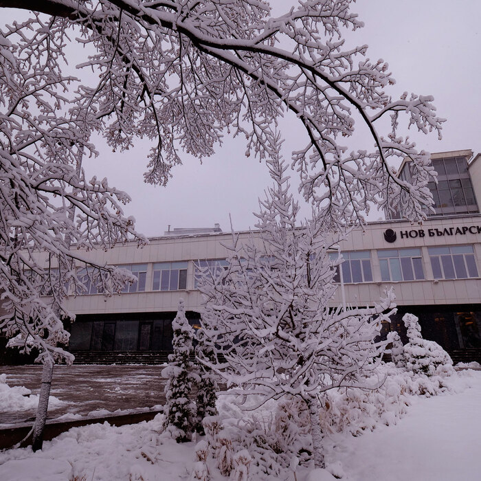 2455131_700x700_crop_478b24840a